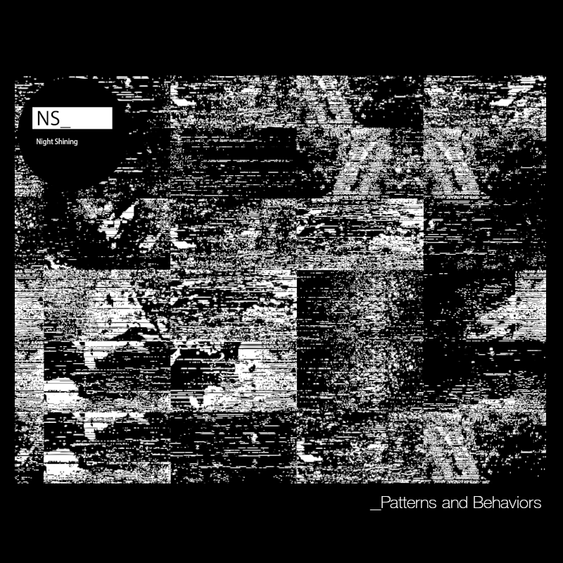 Patterns and Behaviors album cover