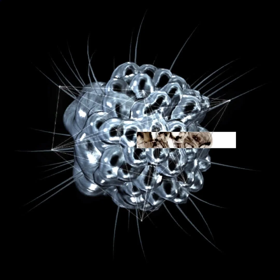 Generative 3D form