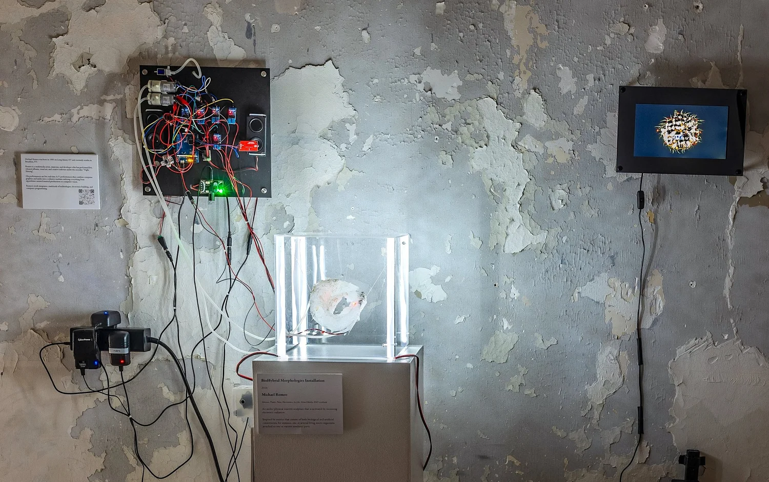 BioHybrid Morphologies sculpture
