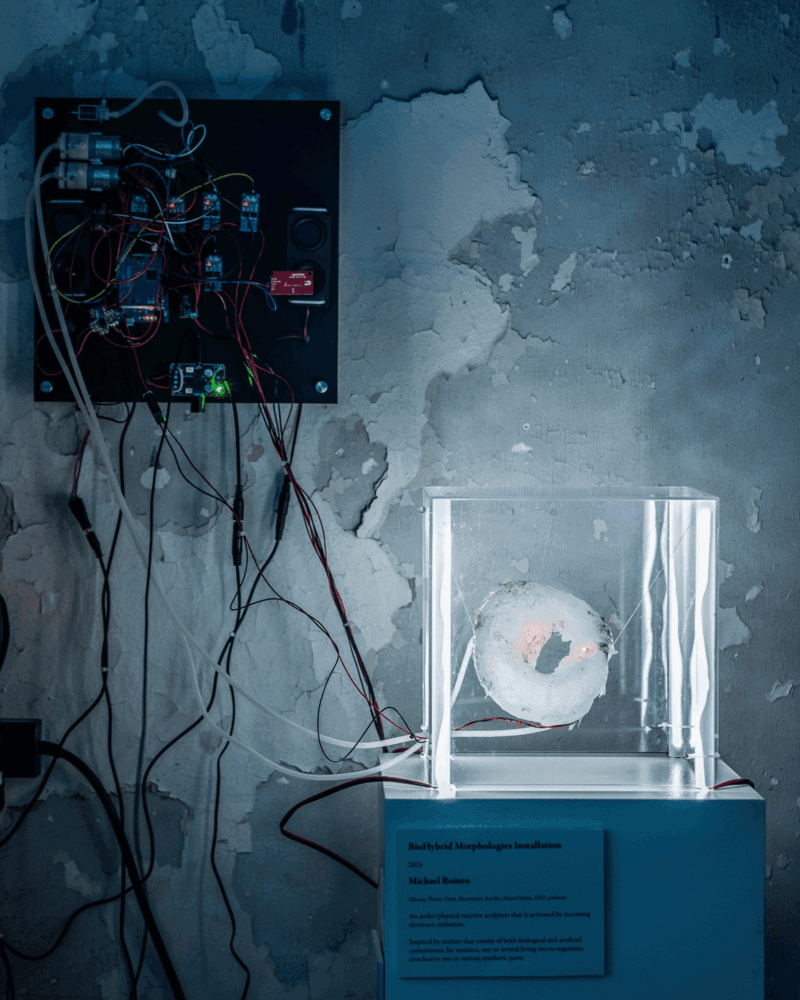 BioHybrid Morphologies animation
