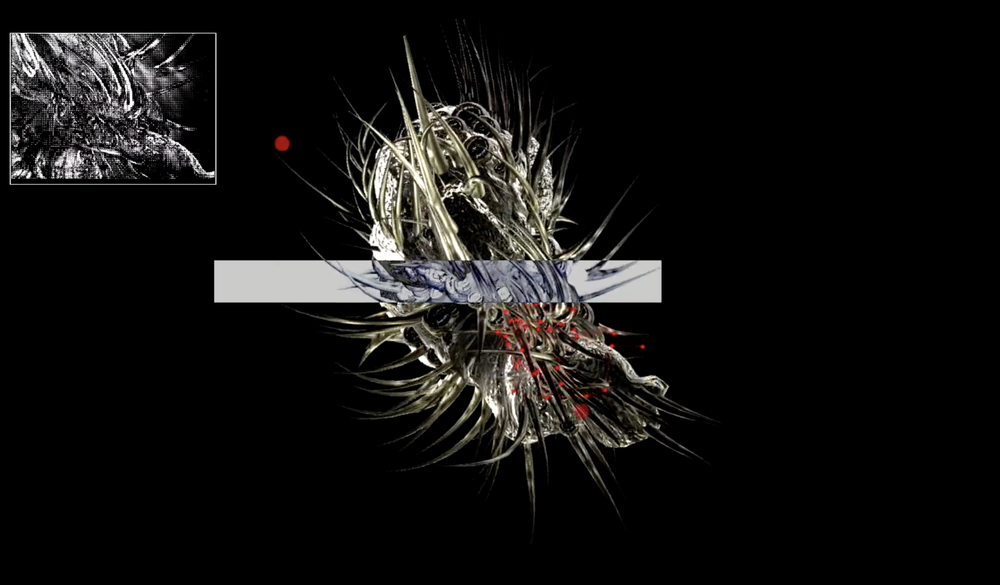 _NS Morphologies 2023 Series