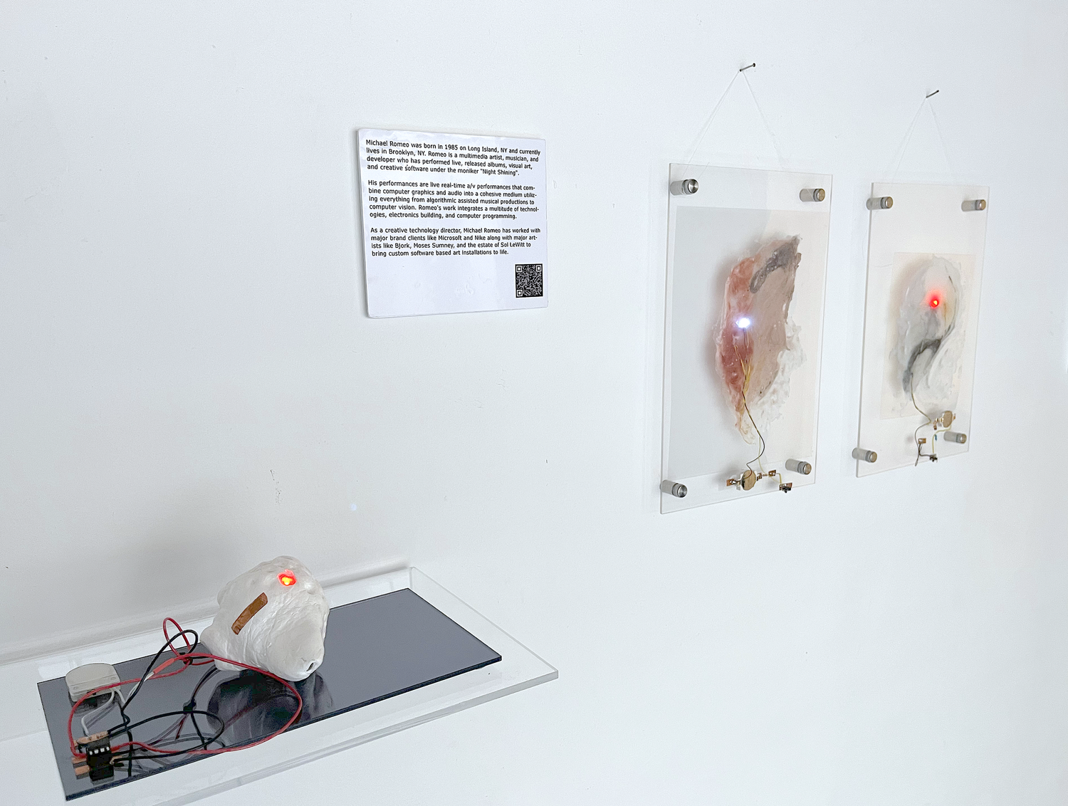 Morphologies Form Studies 2024