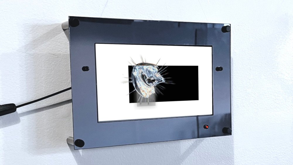 _NS Digital Frame