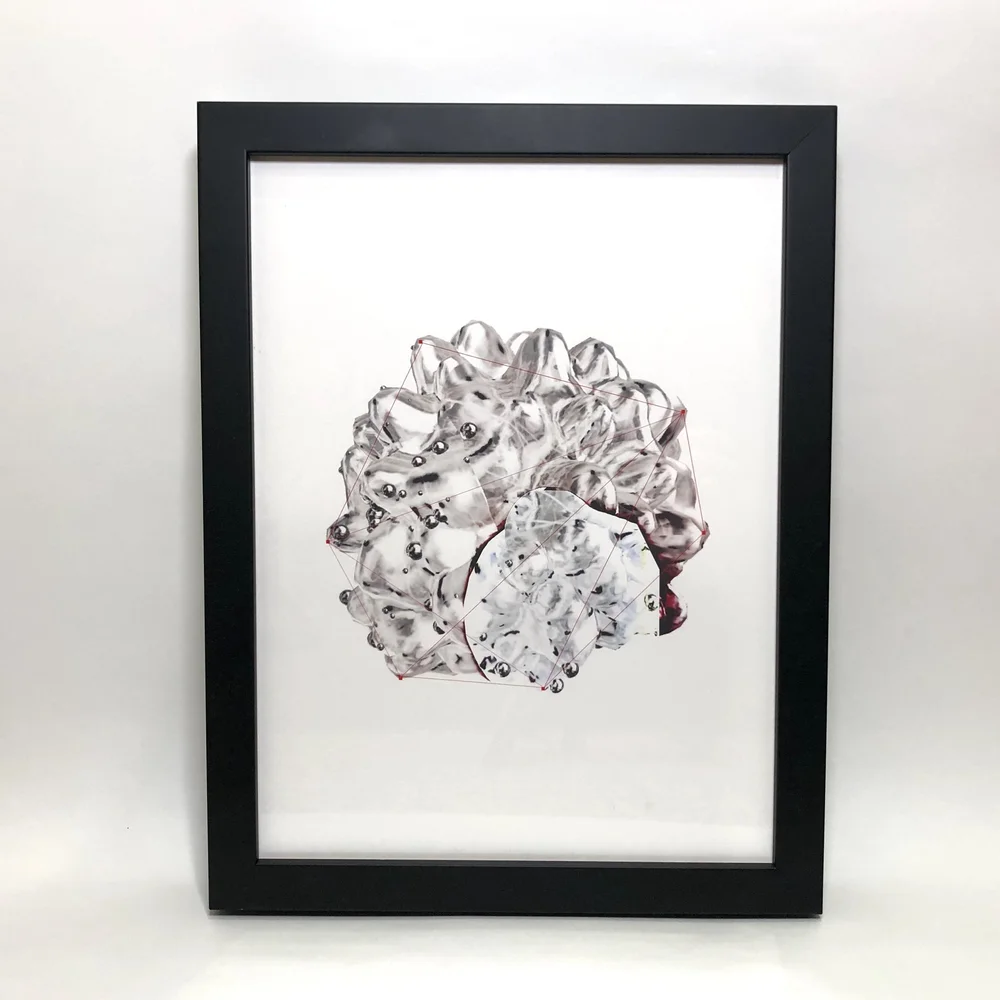 _NS Morphologies framed print