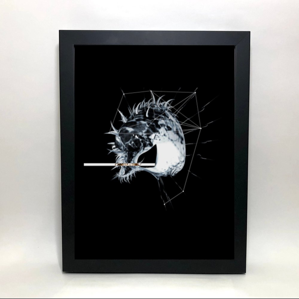 _NS Morphologies framed print