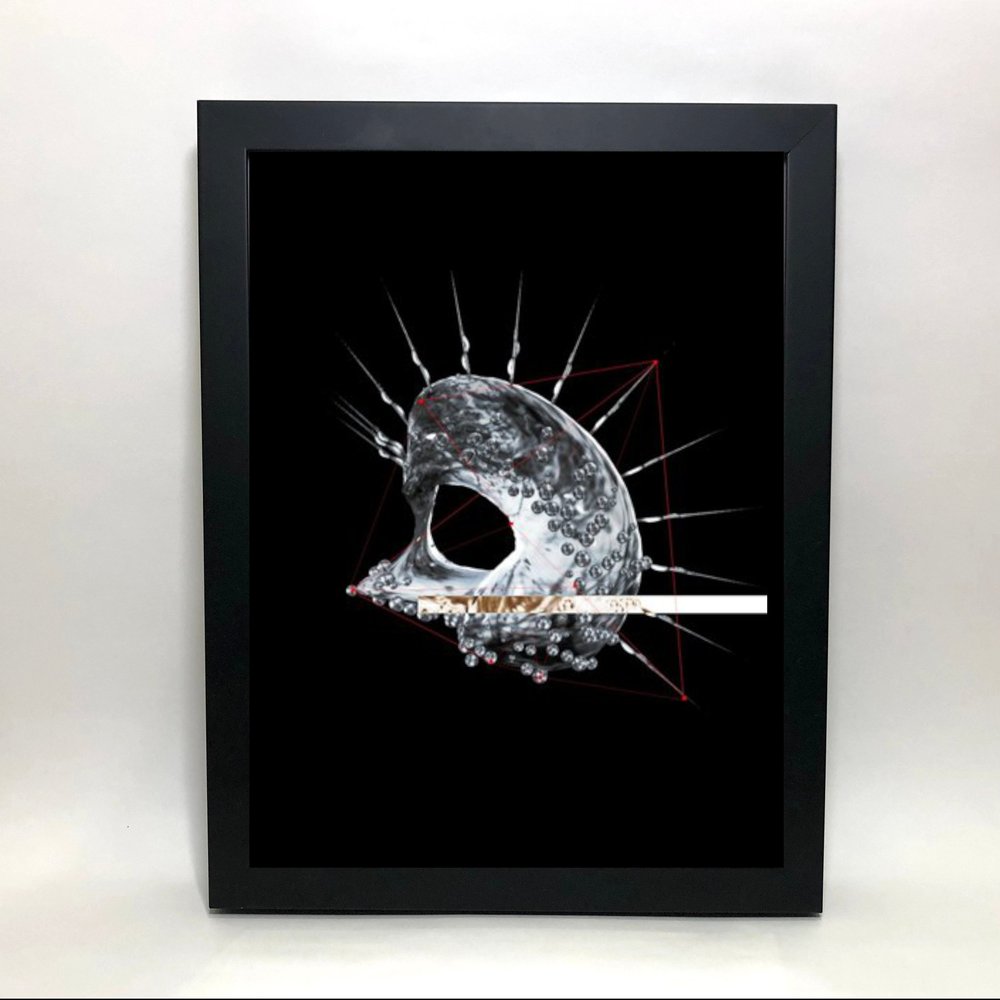 _NS Morphologies framed print