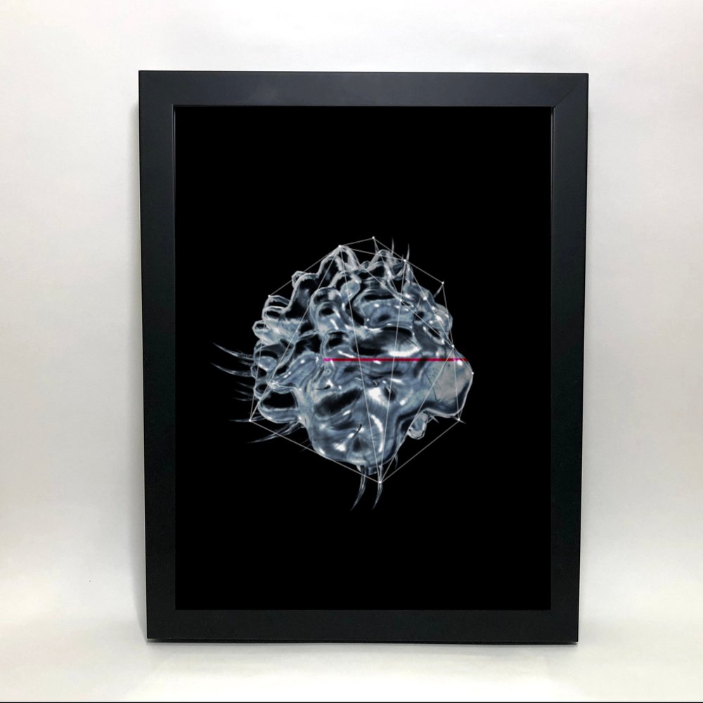 _NS Morphologies framed print